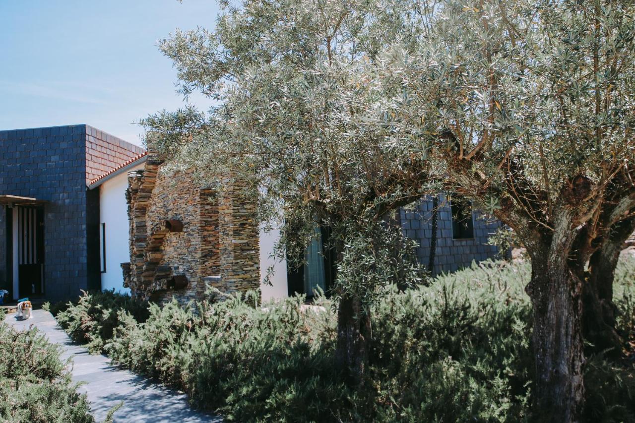 Penzion Casas Da Fontanheira Marvão Exteriér fotografie